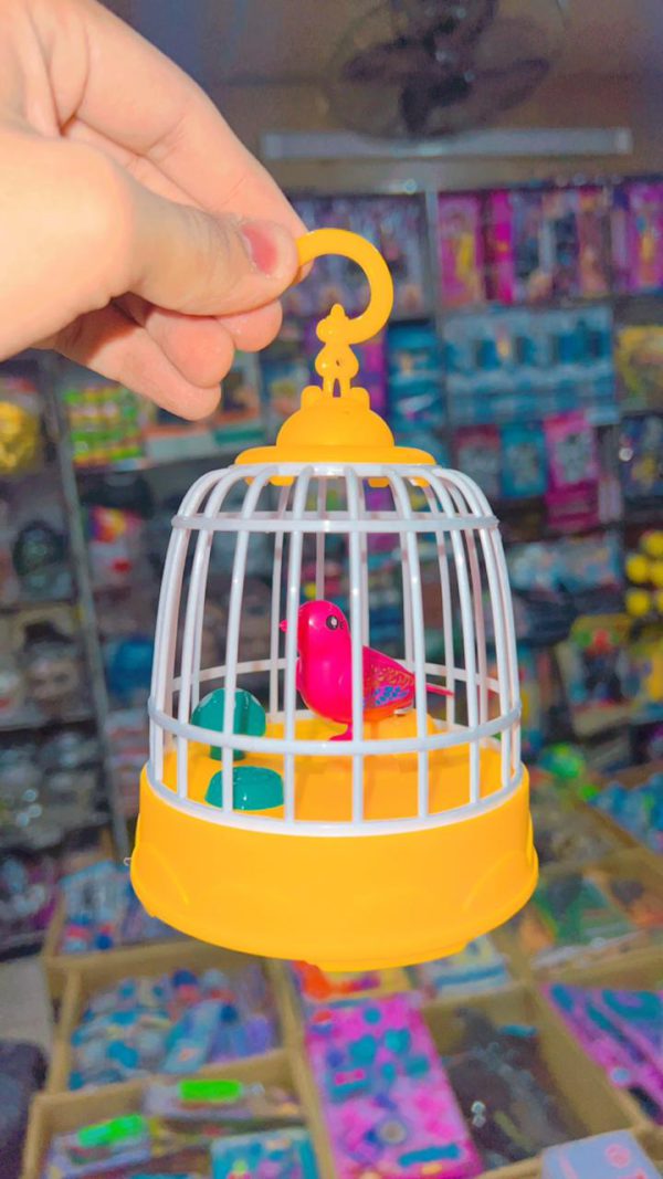 Bird Cage With Light & Music For Kids