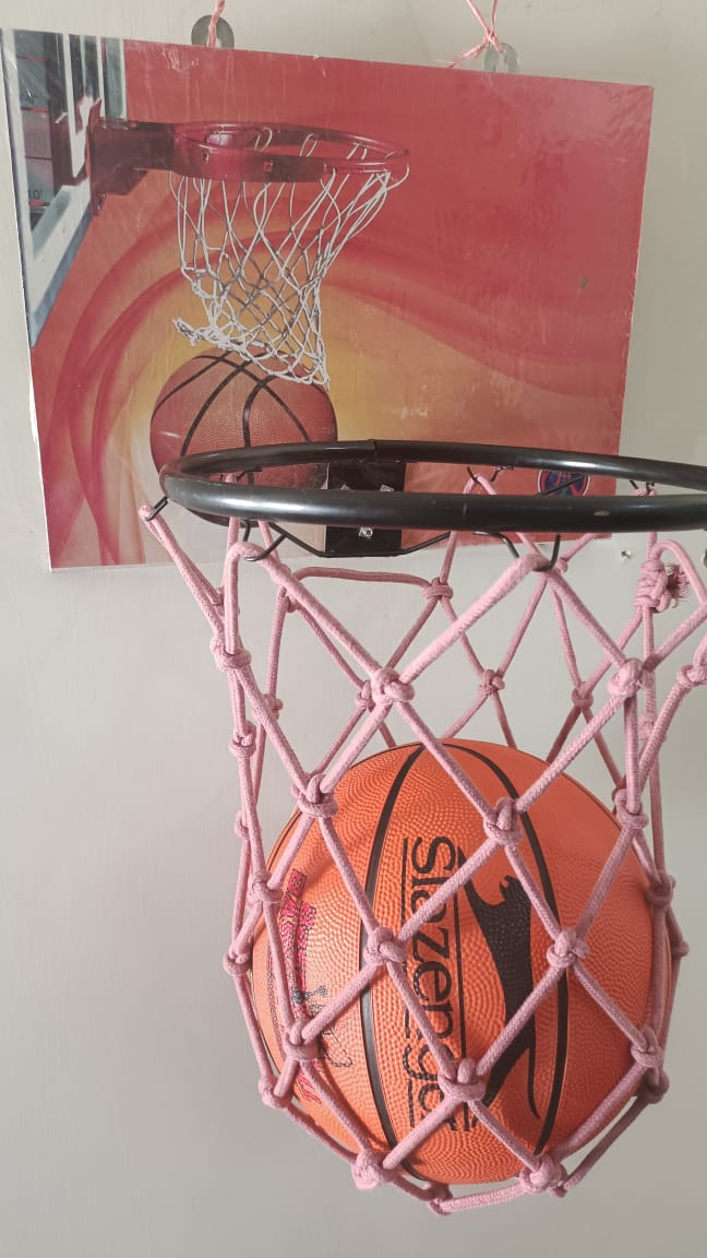 Basketball With Stand